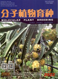 分子植物育种